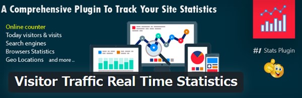 Visitor Traffic Real Time Statistics