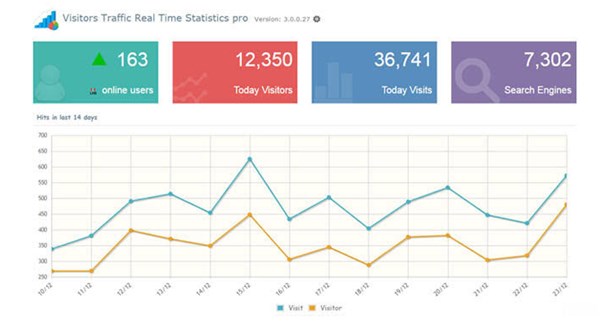 Visitor Traffic Real Time Statistics