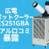 広電 スポットクーラー KES251GBA